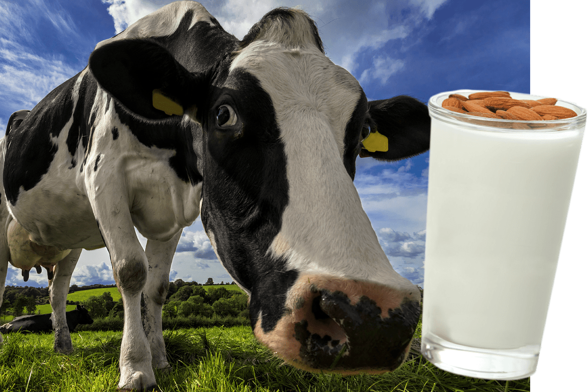 Analyze Today’s Hot Button Issues in Nutrition IDEA Health & Fitness